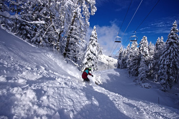 snowboard en poudreuse - saint pierre de chartreuse