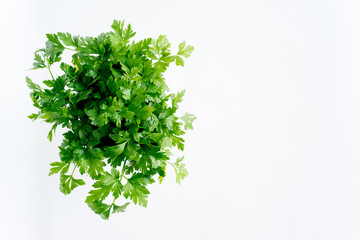 Assortment of fresh vegetables