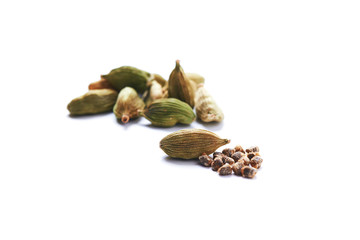 green seeds cardamom