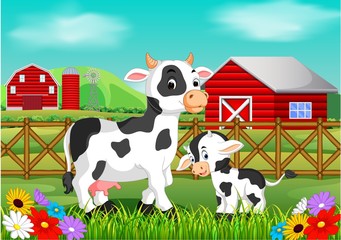 cute cow in the farm