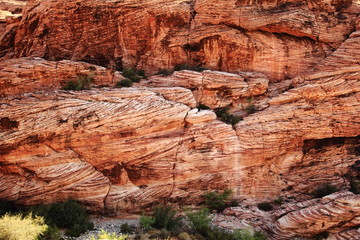 Red Rock Canyon Texture