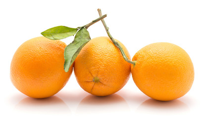Three oranges with green leaf isolated on white background whole fresh in row.