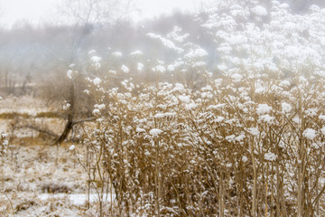 Yosemite National Park in Winter