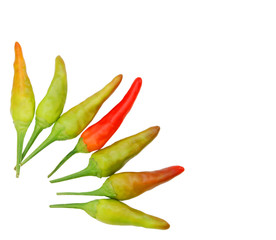 Green and red chilies  isolated on a white background