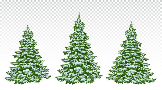  set of beautiful Christmas trees in the snow. Christmas. Winter. Nature in details. Drawing. Vector. Eps 10.