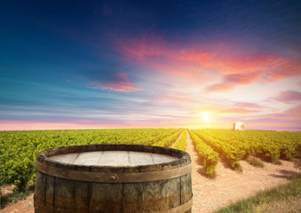 Red wine with barrel on vineyard in green Tuscany, Italy