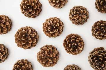 pine cone arrangement on a white background. 