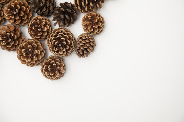 pine cone arrangement on a white background. 