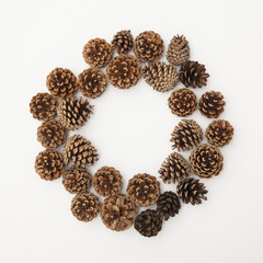 pine cone arrangement on a white background. 