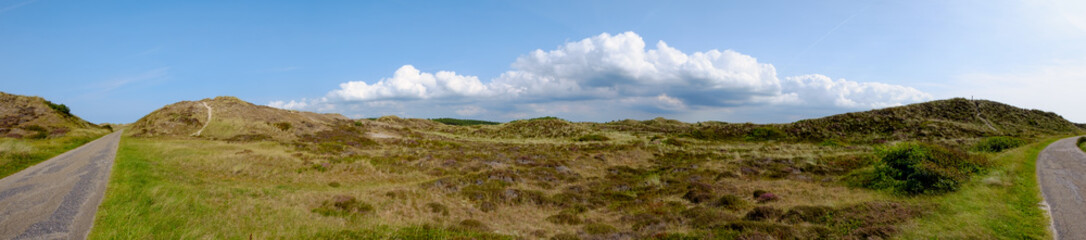 Fototapeta na wymiar Panorama der Heidelandschaft bei Schoorl/NL