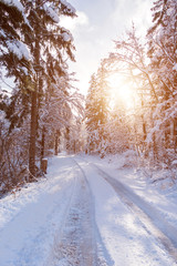 Snow covered road in the winter forest.