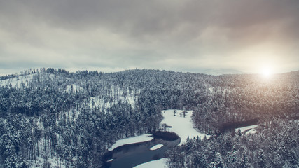 Aerial view of winter snow covered forest landscape. Drone photography collection.