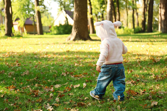Adorable little girl walking in autumn park