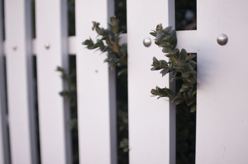 Fence