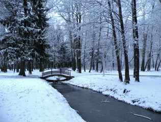 bridge over the river