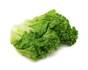 bunch of fresh green salad isolated over white