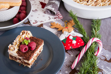 Home-made traditional Italian dessert tiramisu