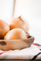 onion close up on the table