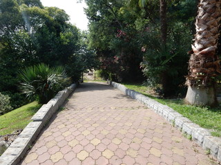 garden