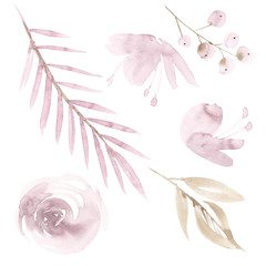 Watercolor floral set. Pastel pink floral collection with leaves and flowers, drawing watercolor. Colorful floral collection with flowers. Set of floral elements for your compositions.