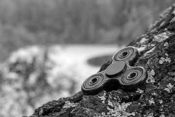 black-and-white photograph on which the spinner rests on a birch tree