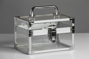 The transparent bag