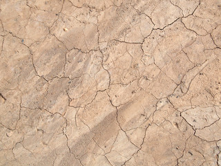 Barren ground horizontal