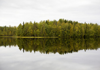 Reflections on the autumnal forest. Autumn view in Finland. Calm reflective waters.