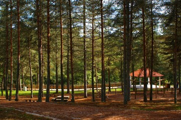 Parque de merendas em Carvalhelhos