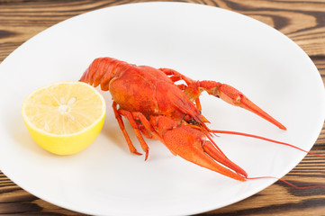 One boiled red crayfish near half of lemon in white ceramic dish on old rustic brown wooden planks