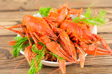 Heap of boiled red crayfishes and green fresh dill in white ceramic bowl on old rustic brown wooden planks