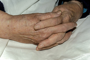 Fototapeta premium hands of an old woman