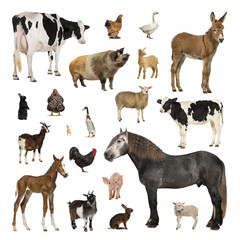 Large collection of farm animal in different position
