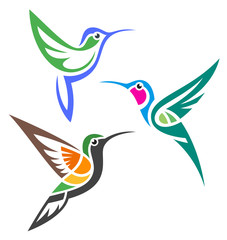 Obraz na płótnie Canvas Stylized Birds - Hummingbirds