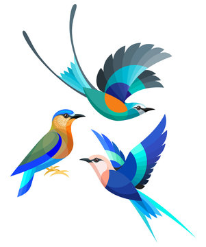 Stylized Birds - Abyssinian, Indian and Blue-bellied Roller