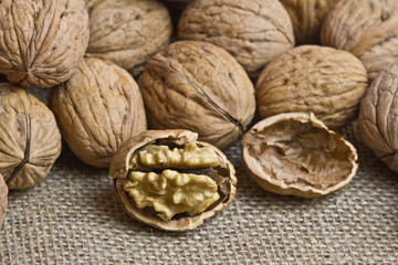 Walnut