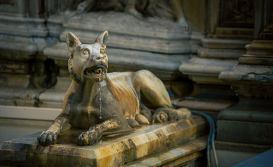 Fototapeta na wymiar Dog fountain Siena 
