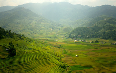 Vietnam Beautiful mountain landscape and rice terrace green and yellow in rice field.