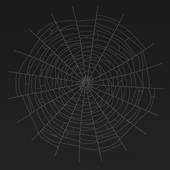 Realistic 3D Render of Cobweb