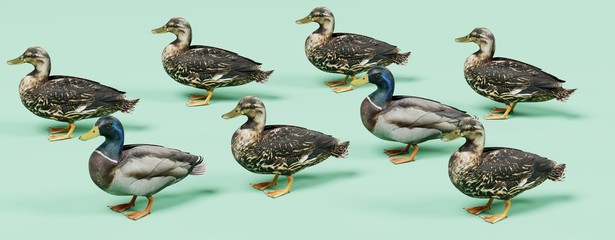 Obraz premium Realistic 3D Render of Ducks