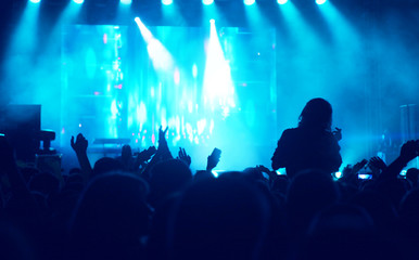 Fototapeta na wymiar Jubelnde Menge bei einem Konzert