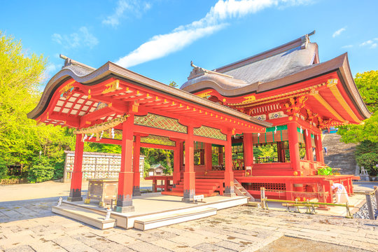 Red architecture of Tsurugaoka Hachiman, the most important Shinto shrine in the city of Kamakura, Kanagawa Prefecture of Japan. Springtime in the blue sky.