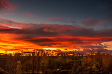 Obraz premium Atardecer en el bosque otoñal