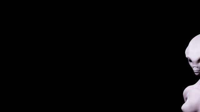 Digital 3D Animation of an Alien