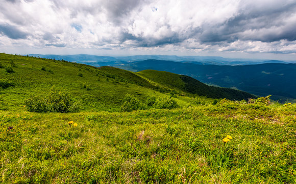 grassy hills on a cloudy day in Carpathians. beautiful mountain landscape in summer
