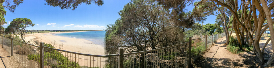 Taylor Park near Point Danger Marine Sanctuary, pinewood panoramic view - Victoria, Australia