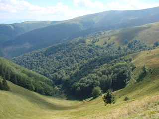 Fototapeta premium Panorama of mountain forests on the slopes of the Borzhava Range of the Ukrainian Carpathians.