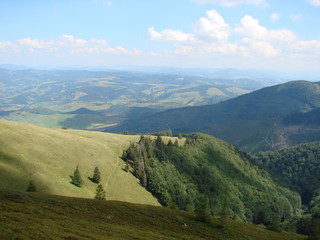 Panorama of mountain forests on the slopes of the Borzhava Range of the Ukrainian Carpathians.