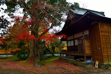 普現寺の紅葉