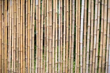 Bamboo fence background and textures.